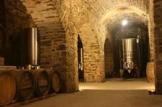 3 - EVJF BIARRITZ : "DIA, EUSKAL ARDOA" - Visite Chai + Dégustation