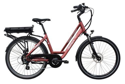 Electric Bike - Half-day