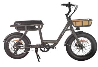 Location vélo électrique biplace