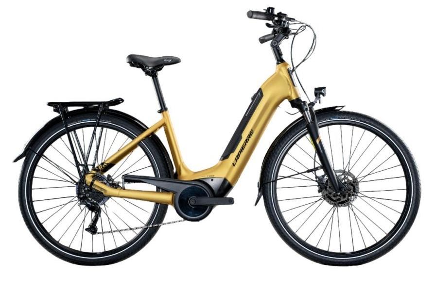 Performance electric bike